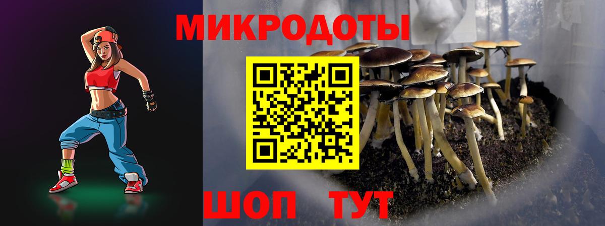 Галлюциногенные грибы прущие грибы  Вход с VPN  Балахна  Псилоцибиновые грибы мицелий 