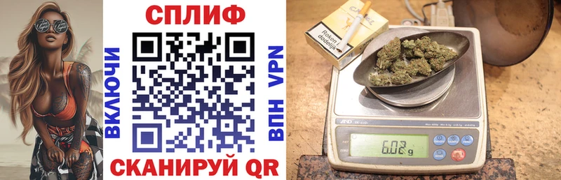 Каннабис индика Балахна